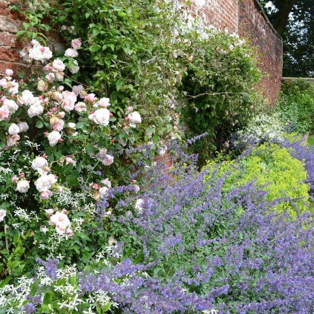 Tracy Foster Garden Design 