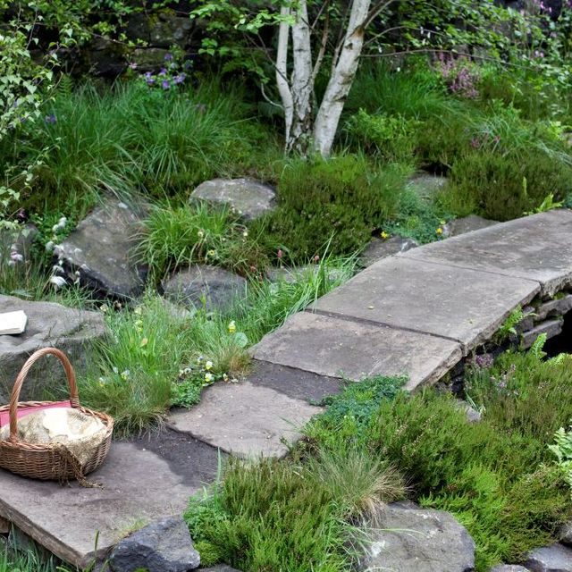 Tracy Foster Garden Design 