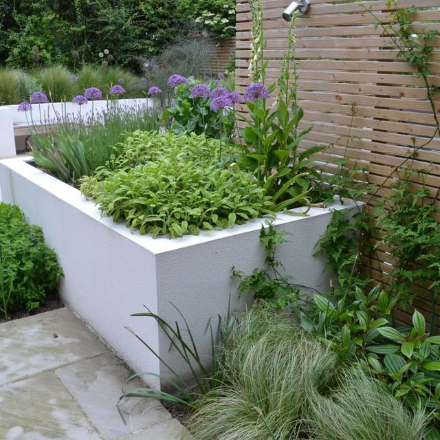 Tracy Foster Garden Design 