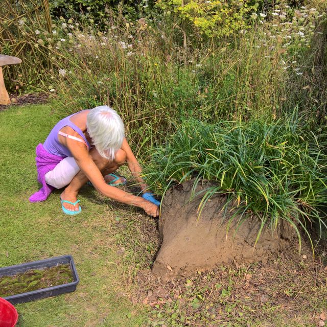 Tracy Foster Garden Design 