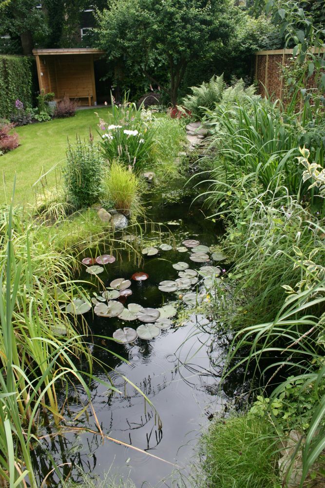 Tracy Foster Garden Design 