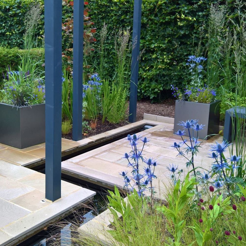 Tracy Foster Garden Design 