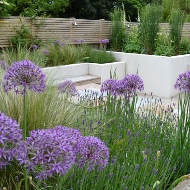 Tracy Foster Garden Design 