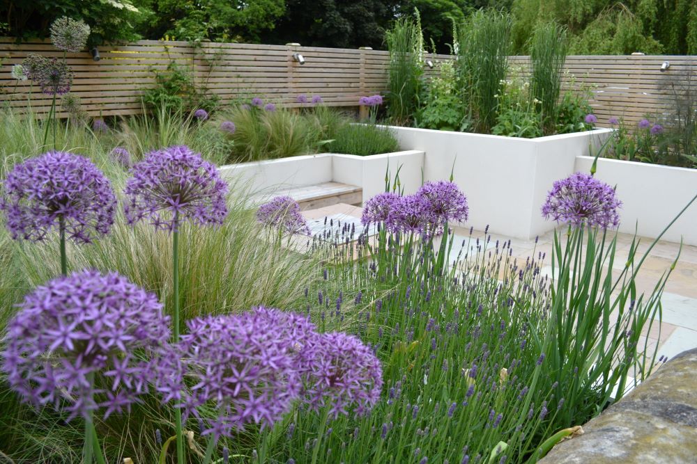 Tracy Foster Garden Design 