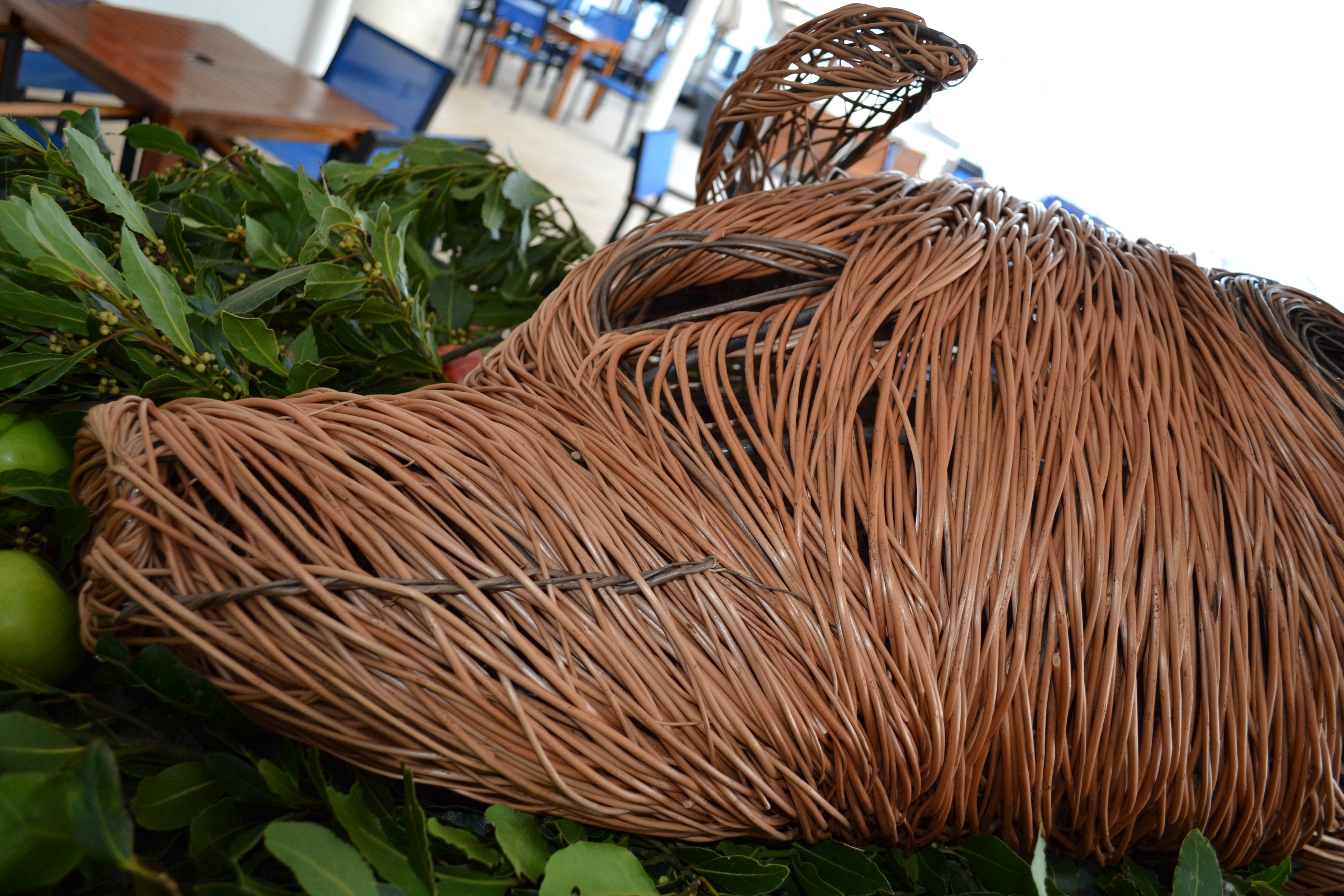 wicker pig on cruise ship
