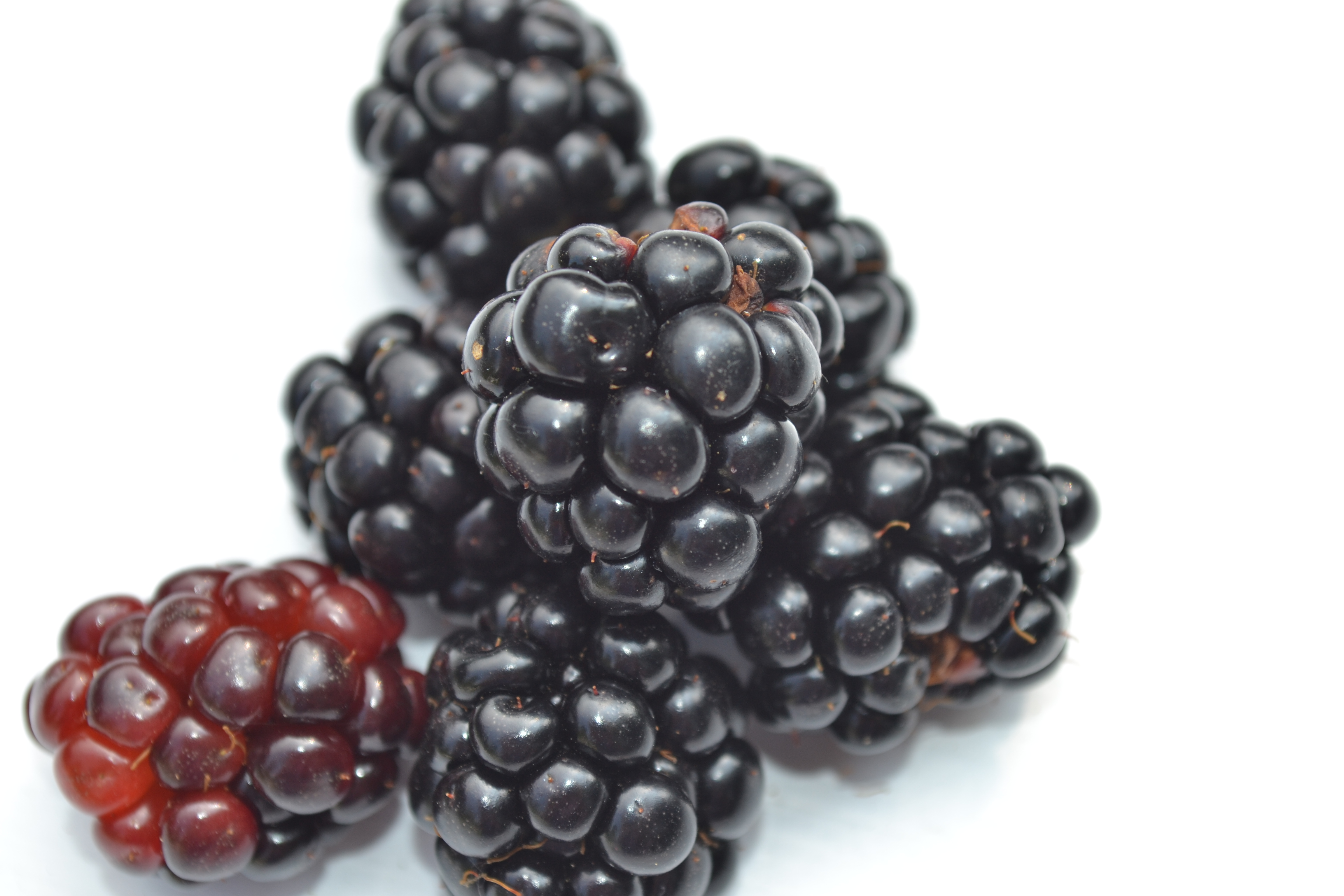 blackberries