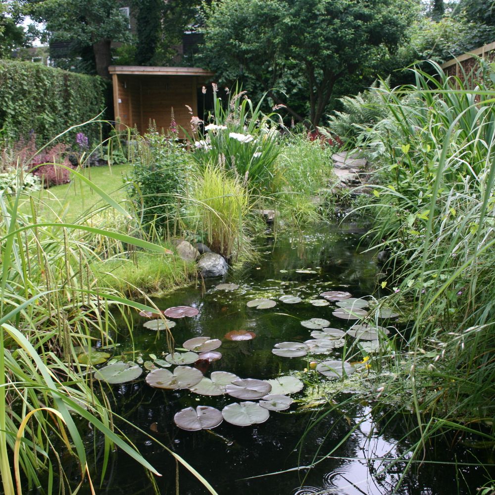 Tracy Foster Garden Design 